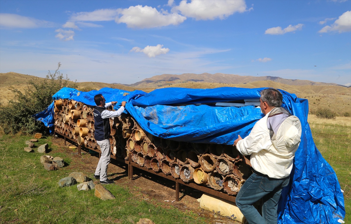 Bitlis’te karakovan balı hasadı başladı, kentte yaklaşık 100 bin karakovan bulunuyor